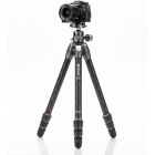 Benro Tortoise Carbon Statief TTOR24C