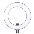 Falcon Eyes LED Ring Lamp Dimbaar DVR-384DVC op 230V