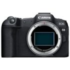 Canon EOS R8 + RF 50mm F/1.8 STM  